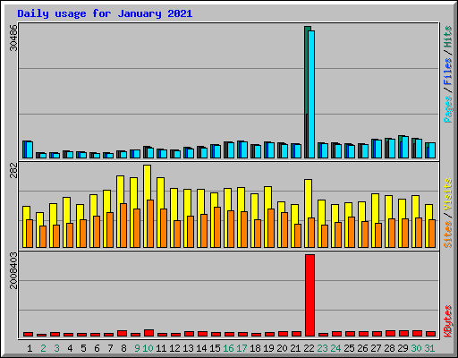 Daily usage for January 2021