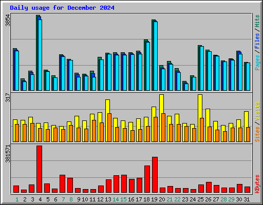 Daily usage for December 2024