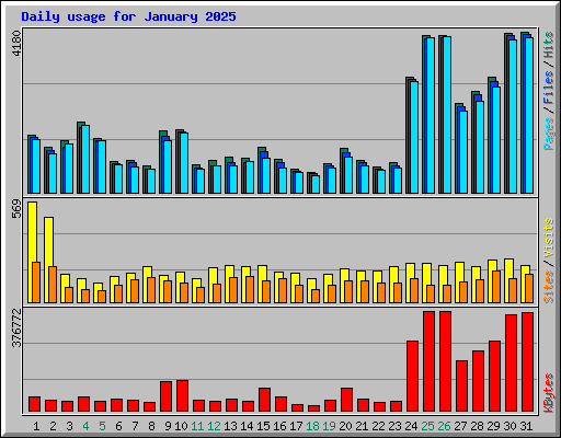 Daily usage for January 2025