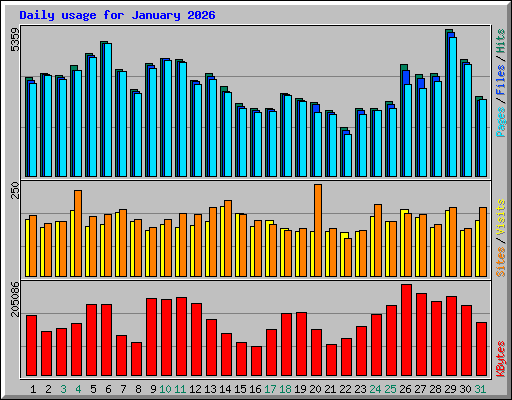 Daily usage for January 2026