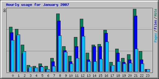 Hourly usage for January 2007
