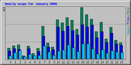 Hourly usage for January 2009