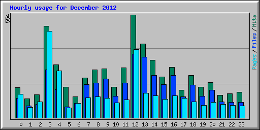 Hourly usage for December 2012