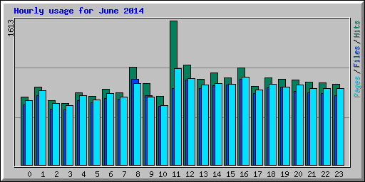 Hourly usage for June 2014