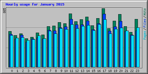 Hourly usage for January 2015