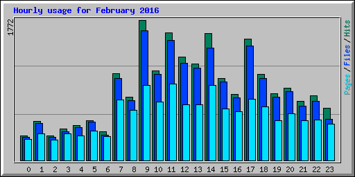 Hourly usage for February 2016
