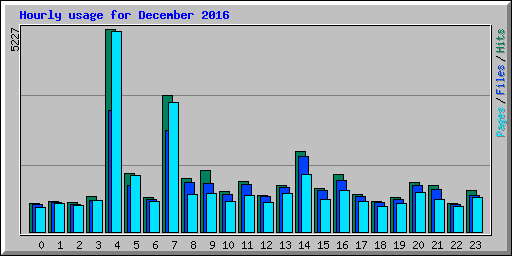 Hourly usage for December 2016