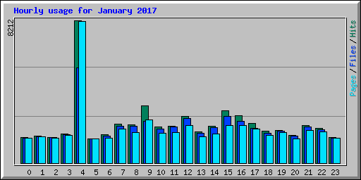 Hourly usage for January 2017