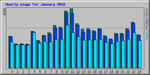 Hourly usage for January 2018