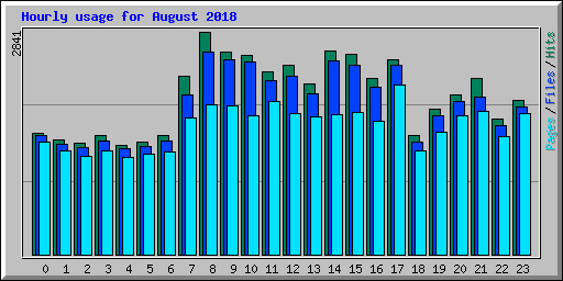 Hourly usage for August 2018