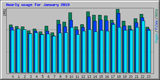 Hourly usage for January 2019