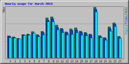 Hourly usage for March 2019