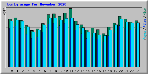 Hourly usage for November 2020
