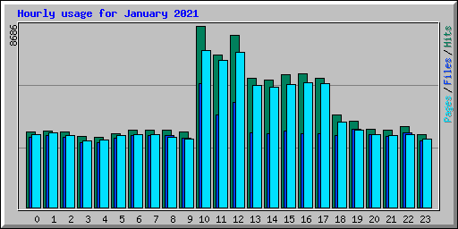 Hourly usage for January 2021
