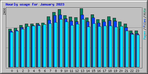 Hourly usage for January 2023