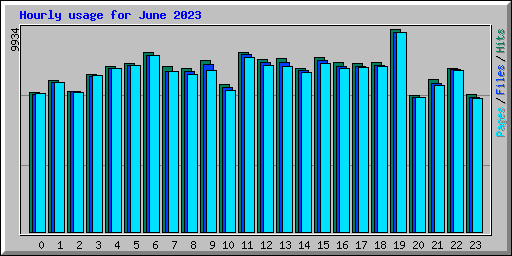 Hourly usage for June 2023