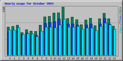 Hourly usage for October 2024