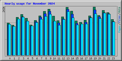 Hourly usage for November 2024