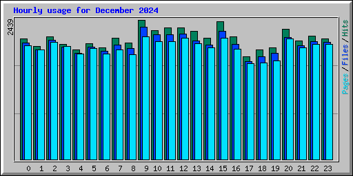 Hourly usage for December 2024