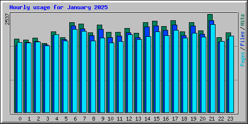 Hourly usage for January 2025