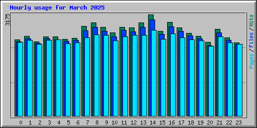 Hourly usage for March 2025