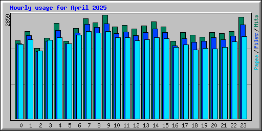 Hourly usage for April 2025