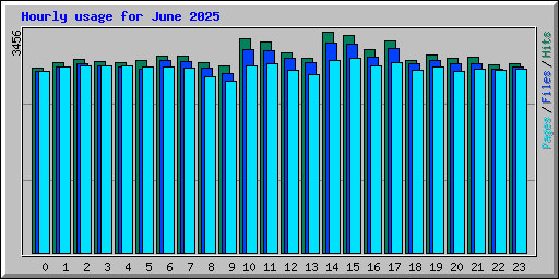 Hourly usage for June 2025
