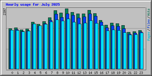 Hourly usage for July 2025