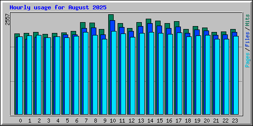 Hourly usage for August 2025