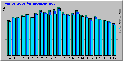 Hourly usage for November 2025