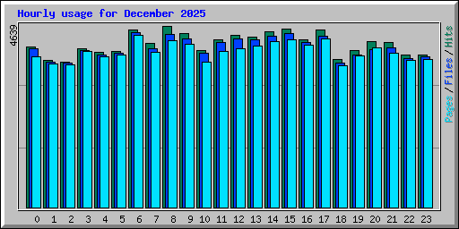 Hourly usage for December 2025