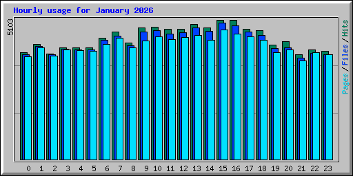 Hourly usage for January 2026