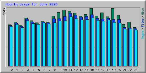 Hourly usage for June 2026